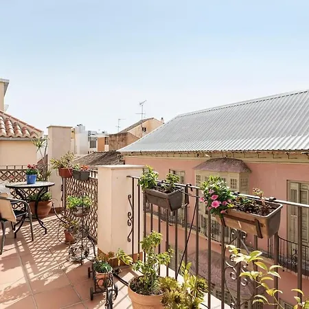 Pineapple Trinidad Grund Atico Lägenhet Málaga